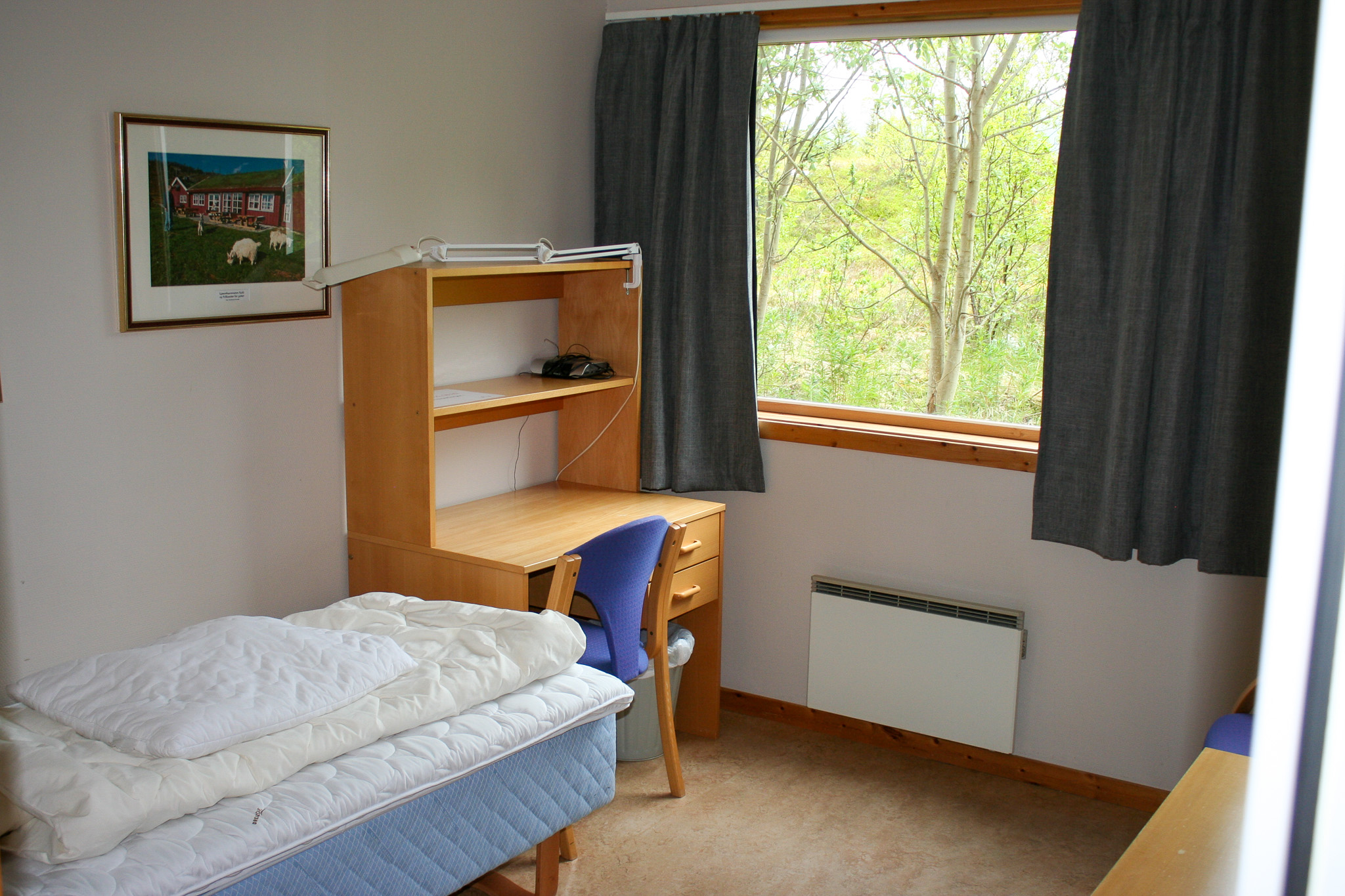 Et rom med enkeltseng, skrivebord og vindu som vender ut mot et grønt område